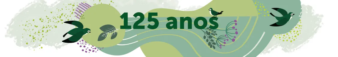 Capa empresa