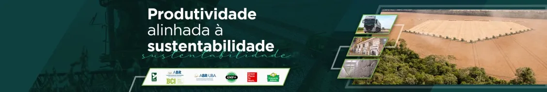 Capa empresa