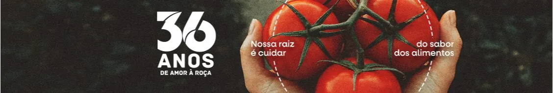 Capa empresa