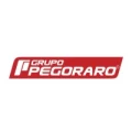 Logo empresa Grupo Pegoraro